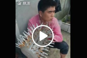 Video 17 detik ini akan membuatmu kaget