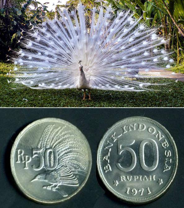 Keindahan Indonesia di balik 33 uang rupiah, bikin kagum deh!