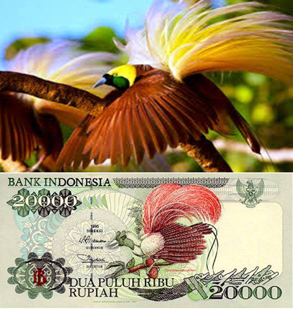 Keindahan Indonesia di balik 33 uang rupiah, bikin kagum deh!