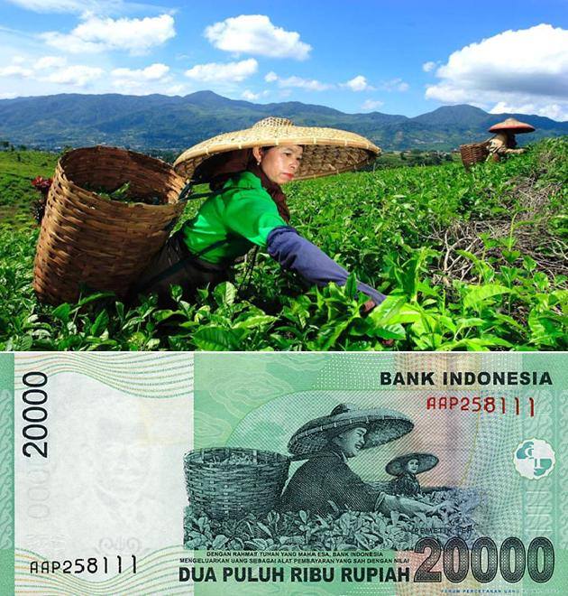 Keindahan Indonesia di balik 33 uang rupiah, bikin kagum deh!
