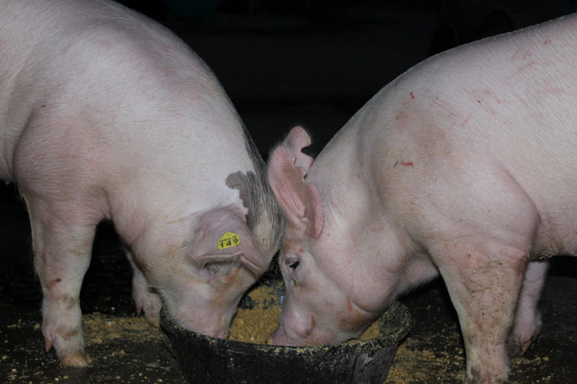 Pekerjaan-pekerjaan ini tak kamu sangka keberadaannya, apa saja ya