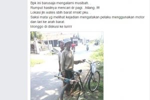 Kejam, rumput untuk pakan ternak hasil mencari seharian hilang dicuri