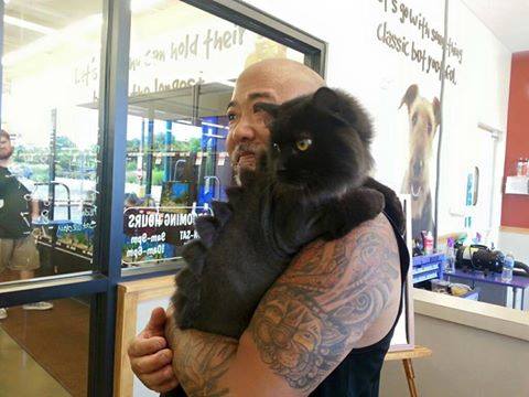 14 Kucing ini dipaksa pemiliknya bergaya anak punk, duh kasihan!