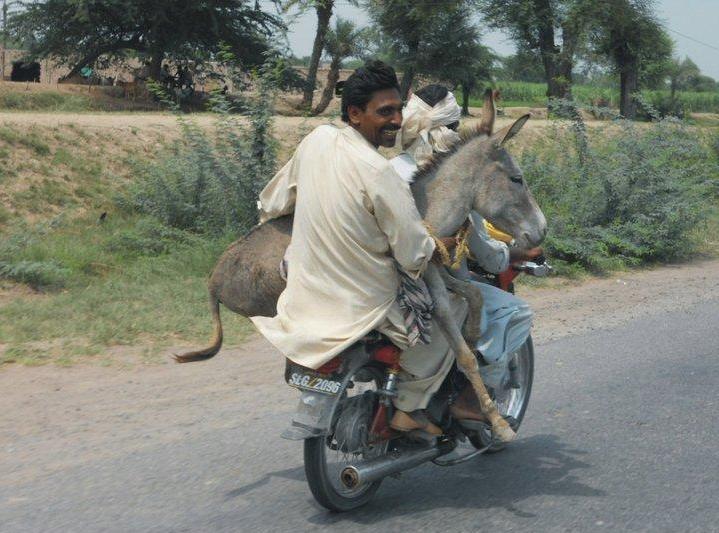 26 Aksi kocak warga Pakistan ini dijamin bikin kamu senyum sendiri! 26 Aksi kocak warga Pakistan ini dijamin bikin kamu senyum sendiri!