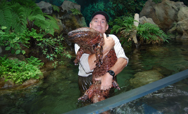 20 Hewan raksasa ini tak disangka hidup di sekitarmu, sumpah ngeri!