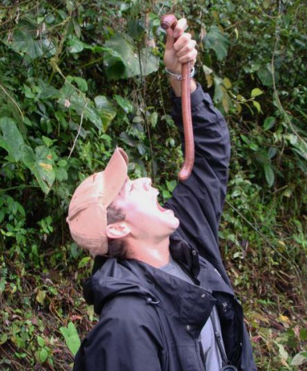 20 Hewan raksasa ini tak disangka hidup di sekitarmu, sumpah ngeri!