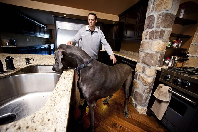 20 Hewan raksasa ini tak disangka hidup di sekitarmu, sumpah ngeri!