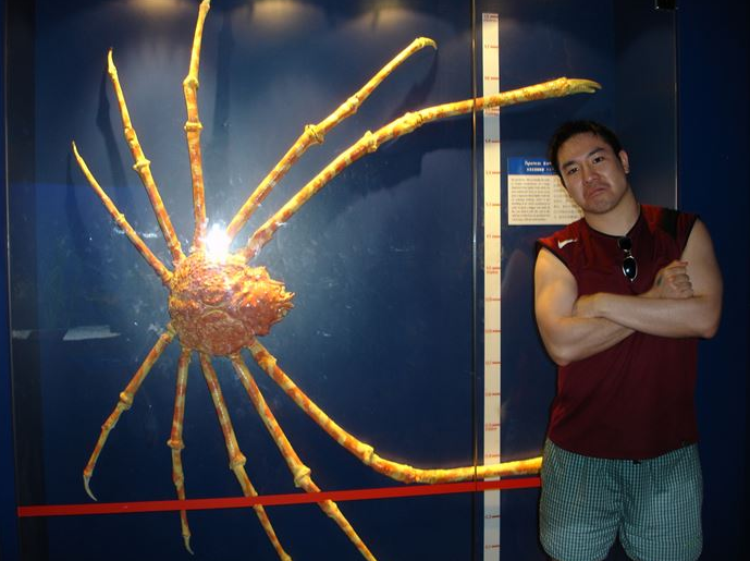 20 Hewan raksasa ini tak disangka hidup di sekitarmu, sumpah ngeri!