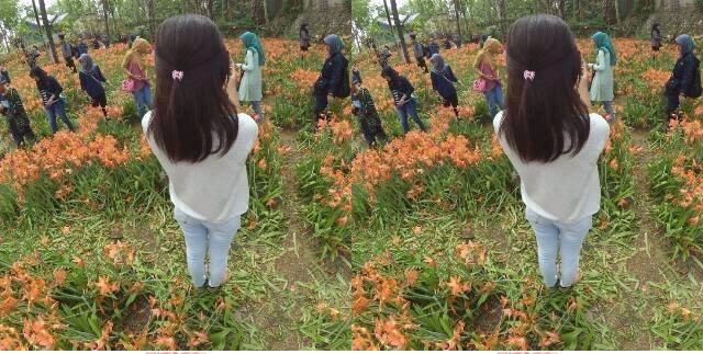 VIDEO: Detik-detik taman bunga langka di Yogya rusak parah, miris!