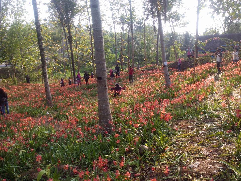 Meski taman bunganya rusak parah, Sukadi malah minta maaf, kok bisa?