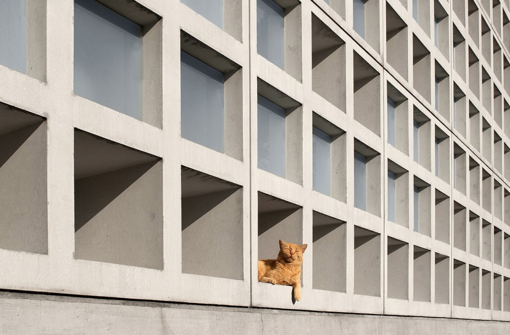 15 Panorama indah ini buat pikiran sejenak rehat dari rutinitas kerja