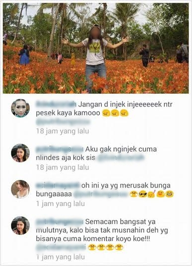 Para perusak bunga Amaryllis ini tidak menyesali perbuatannya Para perusak bunga Amaryllis ini tidak menyesali perbuatannya