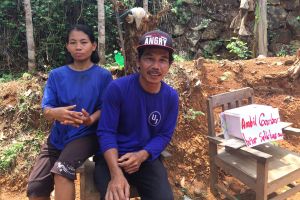 Pemilik kebun Amarillys: Ini sebenarnya bunga untuk dijual