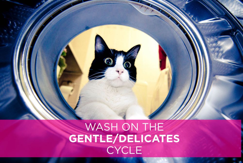 5 Tips jitu mencuci bra di mesin cuci ini dijamin bikin awet, top!