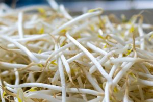 6 Makanan paling berisiko terkontaminasi bakteri, perhatikan ya!