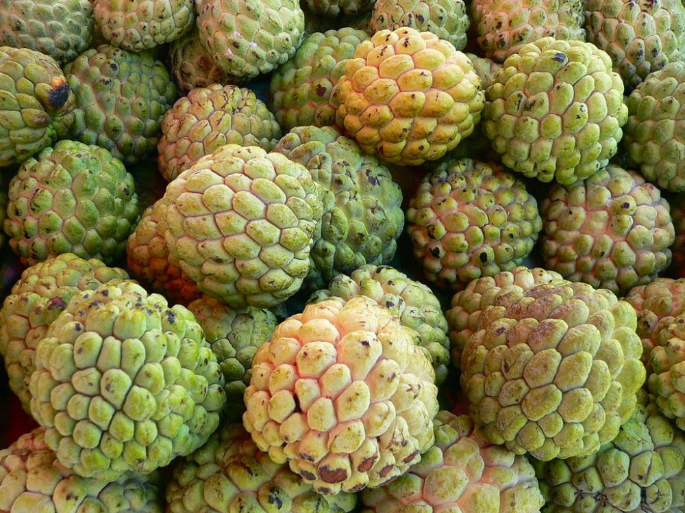 15 Buah-buahan langka yang kini banyak dirindukan 