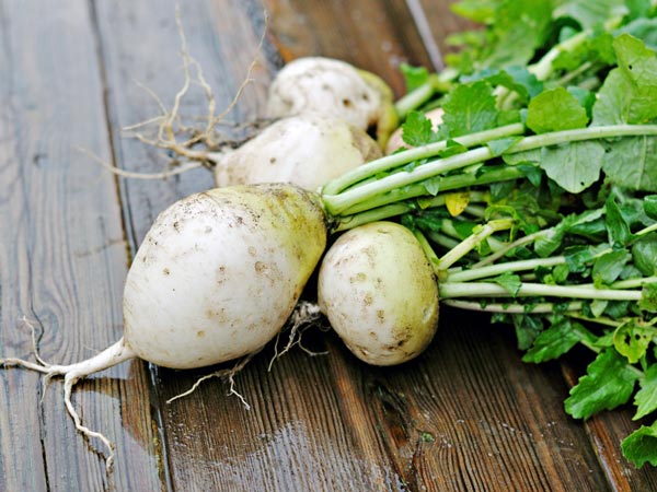 Sayuran hijau pada wortel © 2015 brilio.net