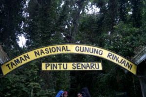Pengalaman Rey mendaki Gunung Rinjani ‘ditemani’ oleh Dewi Anjani