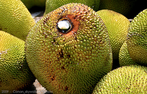 15 Buah ini tampilannya nggak menarik tapi rasanya maknyus, coba ya? 15 Buah ini tampilannya nggak menarik tapi rasanya maknyus, coba ya?