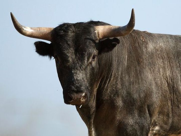 Kosmetik yang bikin cantik ternyata dibuat dari 10 bahan menjijikkan Kosmetik yang bikin cantik ternyata dibuat dari 10 bahan menjijikkan