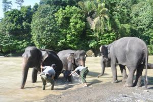 Traveling membuat Wiwik lebih open minded dan banyak bersyukur