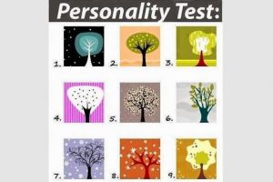 9 Gambar pohon ini ungkap rahasia kepribadianmu, berani coba?