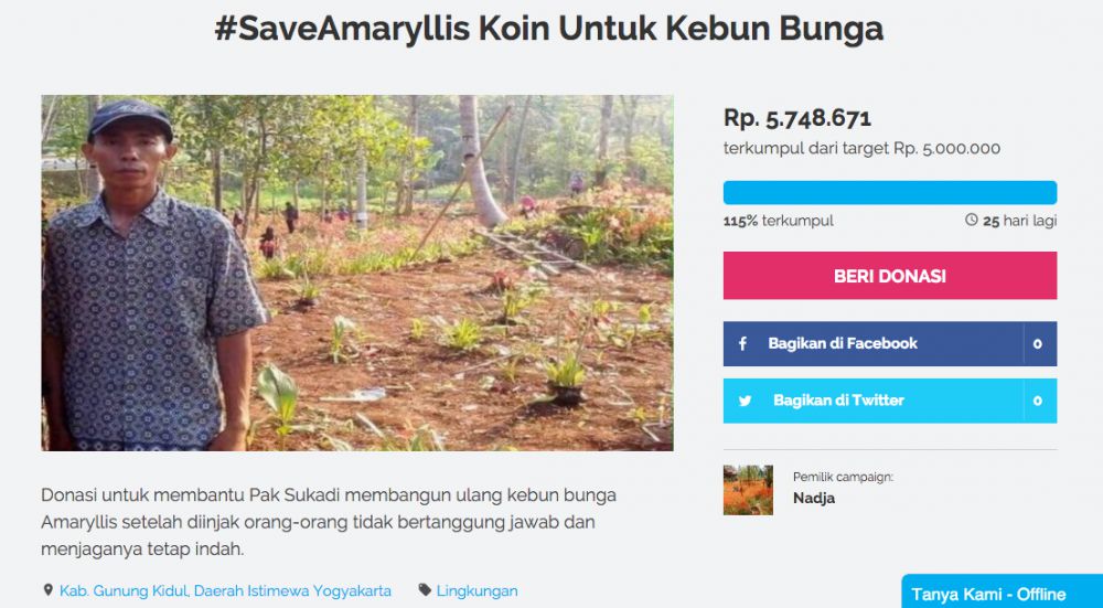Netizen ini galang dana untuk perbaiki kebun Amarylis yang rusak, top!