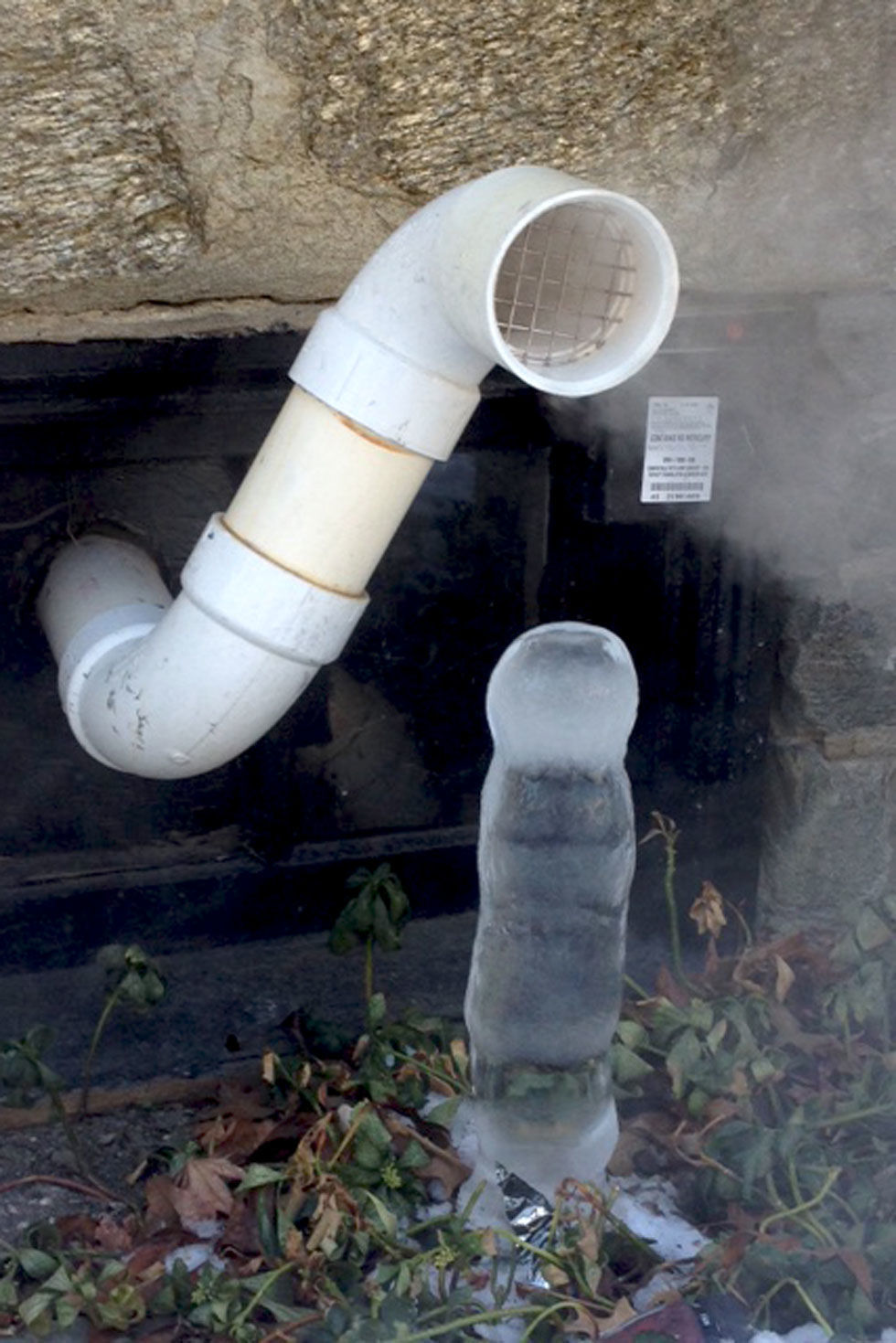 35 Hal ini mirip alat kelamin pria, ya nggak sih?