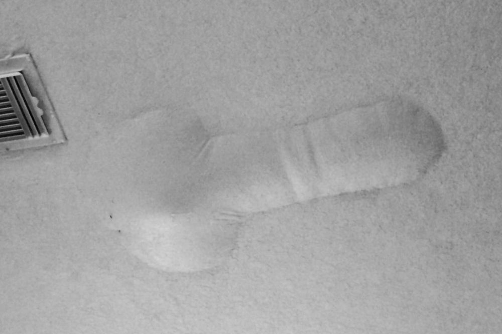 35 Hal ini mirip alat kelamin pria, ya nggak sih?