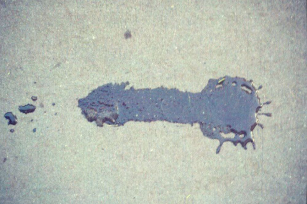 35 Hal ini mirip alat kelamin pria, ya nggak sih?