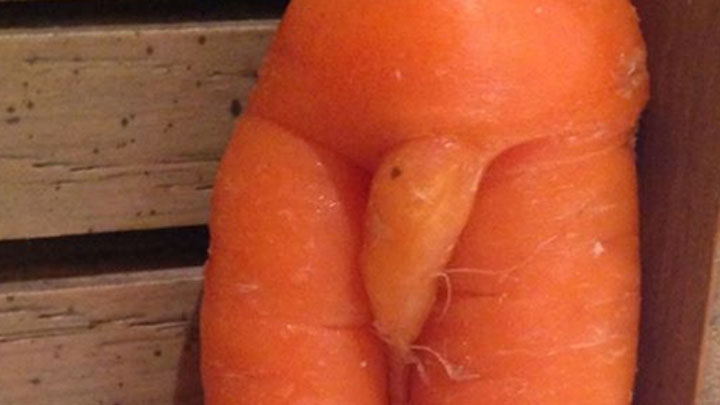 35 Hal ini mirip alat kelamin pria, ya nggak sih?