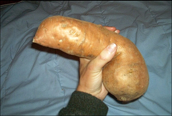 35 Hal ini mirip alat kelamin pria, ya nggak sih?