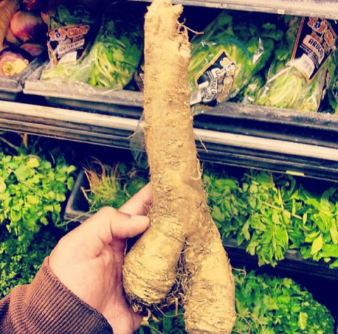 35 Hal ini mirip alat kelamin pria, ya nggak sih?