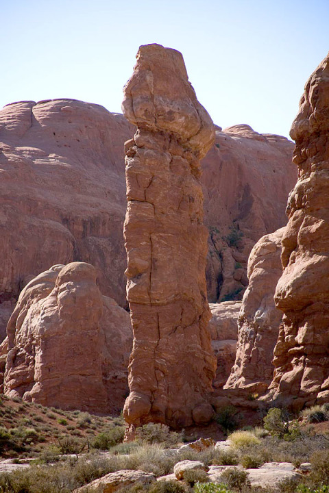 35 Hal ini mirip alat kelamin pria, ya nggak sih?