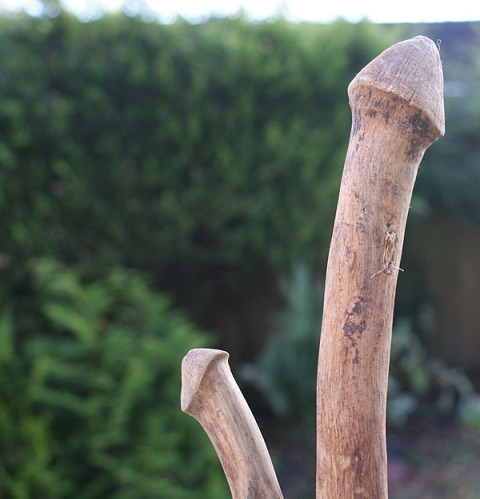 35 Hal ini mirip alat kelamin pria, ya nggak sih?