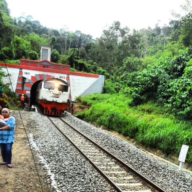 Tak disangka, naik 10 kereta ini disuguhi panorama alam terindah