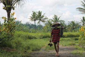 10 Hal menarik saat berlibur di desa, kamu tidak dapat menemui di kota