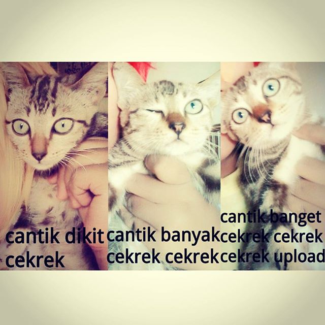 22 Meme tren foto selfie cekrek, lucu puooll! 22 Meme tren foto selfie cekrek, lucu puooll!