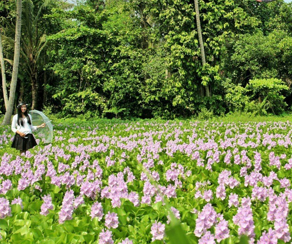 20 Tempat tersembunyi di Jogja yang Instagramable, siapkan kameramu! 20 Tempat tersembunyi di Jogja yang Instagramable, siapkan kameramu!