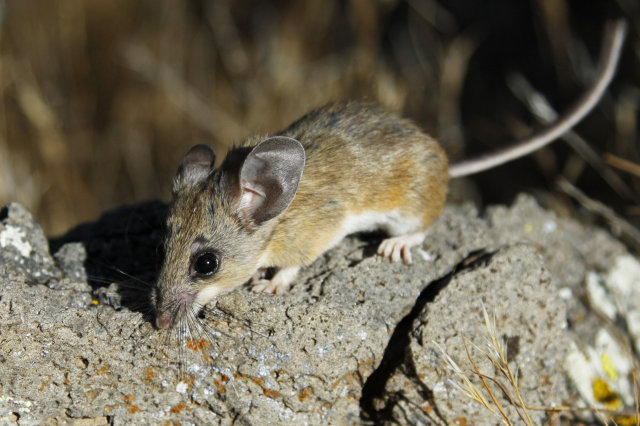 Rahasia keseharian yang nggak kamu tahu, tapi sekarang kamu perlu tahu Rahasia keseharian yang nggak kamu tahu, tapi sekarang kamu perlu tahu