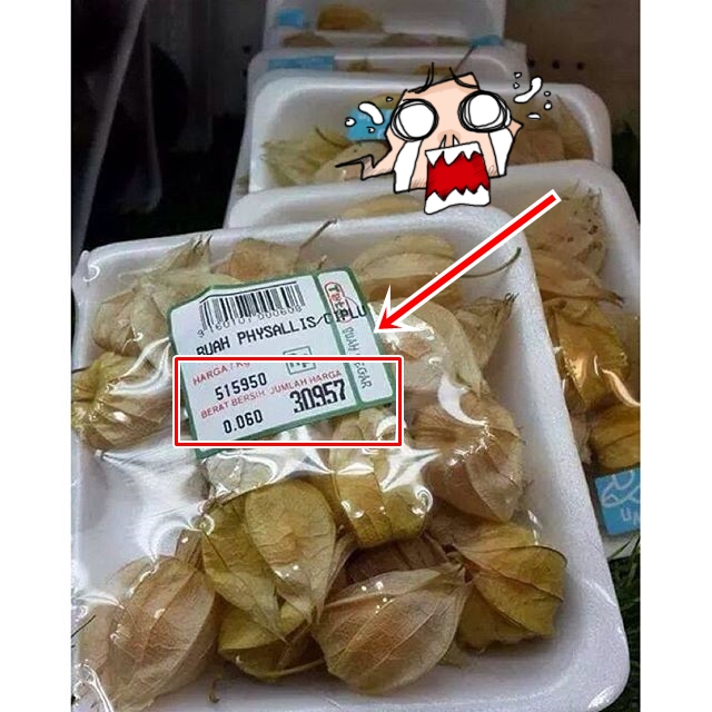 Siapa yang mengira, kini ciplukan harganya Rp 500 ribu/kg di mal Siapa yang mengira, kini ciplukan harganya Rp 500 ribu/kg di mal