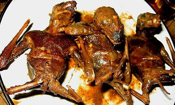 10 Kuliner ekstrem di Jogja, ngeri-ngeri sedap! 