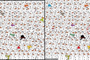 Gambar ini bikin ribuan netizen pusing, bisakah kamu menemukan panda?