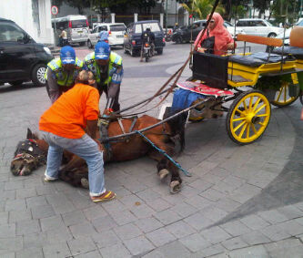 Usai direnovasi, KM 0 Yogyakarta sering memakan korban kuda jatuh