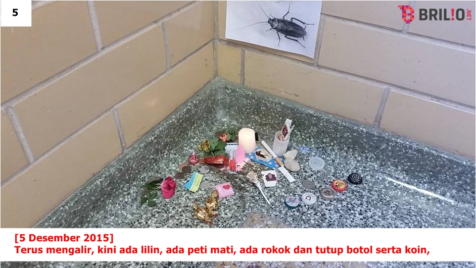 Pertama dalam sejarah, puluhan orang ini berduka atas kematian kecoak Pertama dalam sejarah, puluhan orang ini berduka atas kematian kecoak