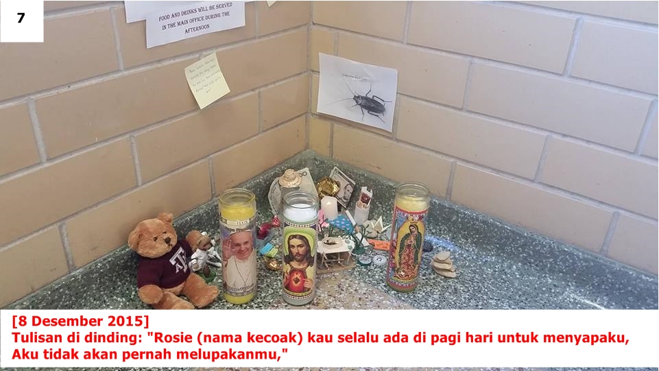 Pertama dalam sejarah, puluhan orang ini berduka atas kematian kecoak Pertama dalam sejarah, puluhan orang ini berduka atas kematian kecoak