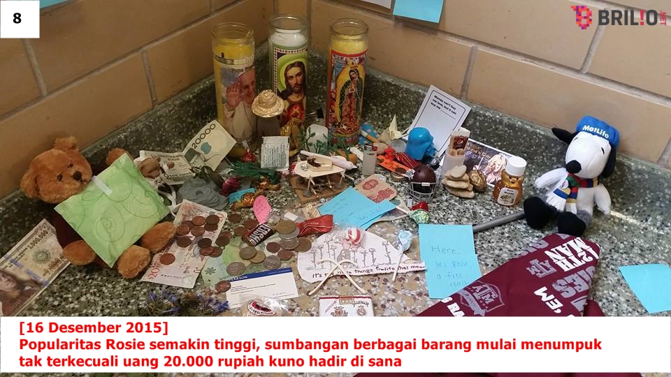 Pertama dalam sejarah, puluhan orang ini berduka atas kematian kecoak Pertama dalam sejarah, puluhan orang ini berduka atas kematian kecoak