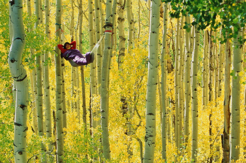 20 Aksi esktrem Hammockers ini dijamin bikin kamu melongo, keren! 20 Aksi esktrem Hammockers ini dijamin bikin kamu melongo, keren!