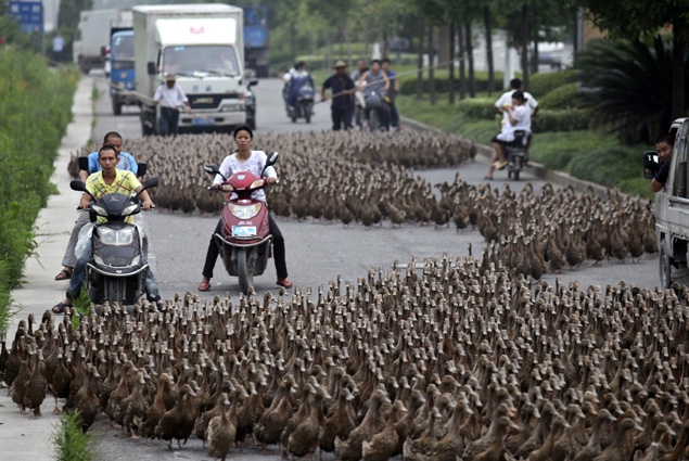  Kemacetan lalu lintas di China, parah mana dengan Jakarta?