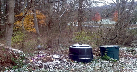 Kamu jenius jika bisa menemukan rusa dalam 6 foto ini, coba aja!